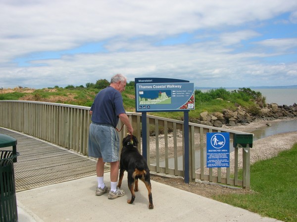 Thames resident Bernie Brennan enjoys a walk with his neighbourÃ¢â‚¬â„¢s dog Tess on the Thames Coastal Walkway